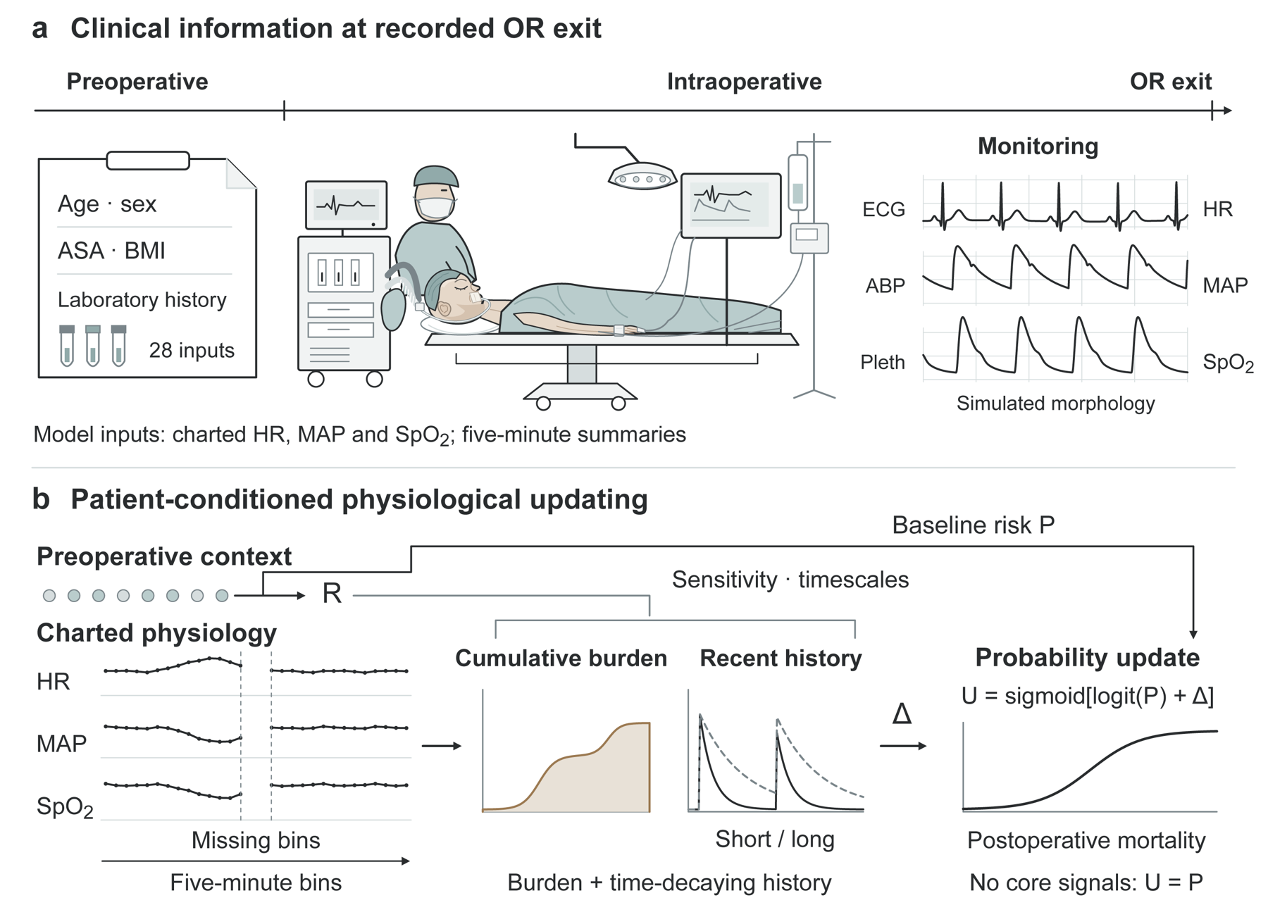 Clinical inputs and the context-conditioned physiological updating architecture, with cumulative burden and short and long memory.